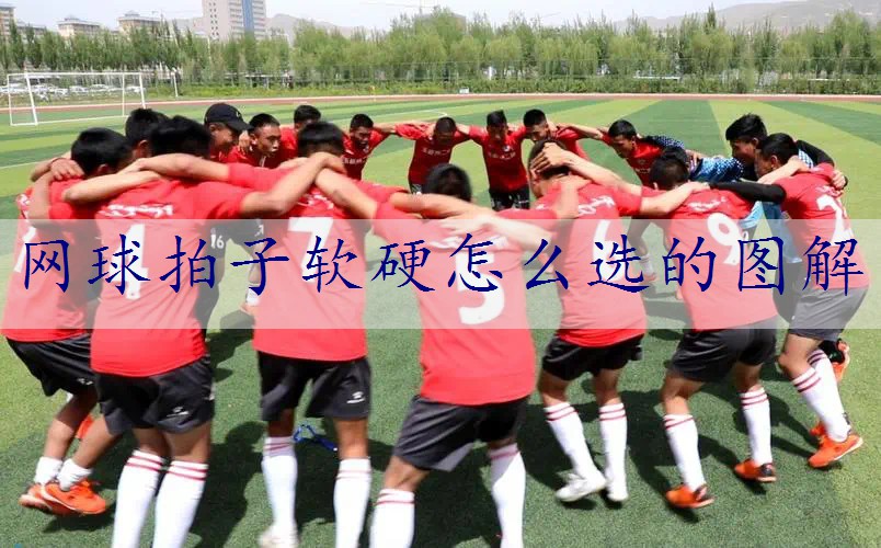 网球拍子软硬怎么选的图解