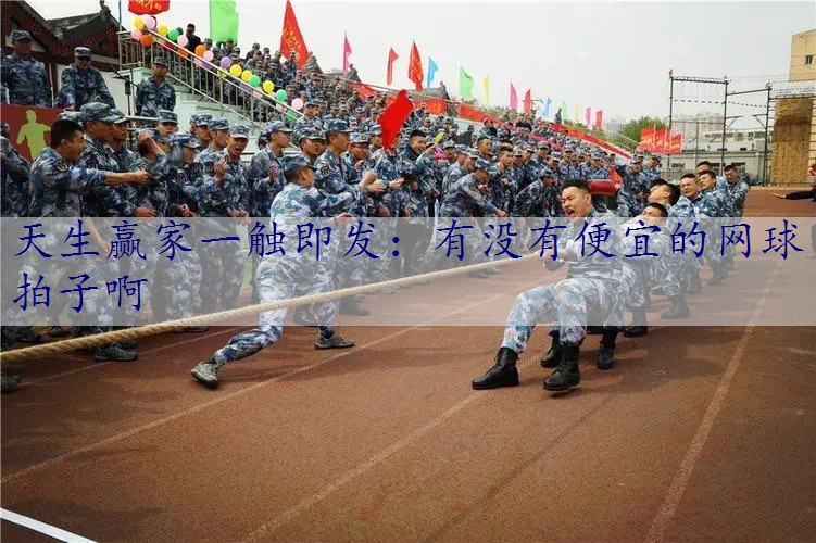 有没有便宜的网球拍子啊