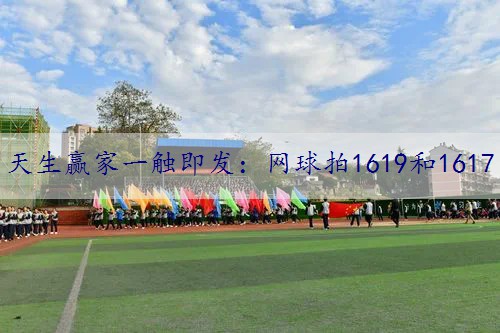网球拍1619和1617