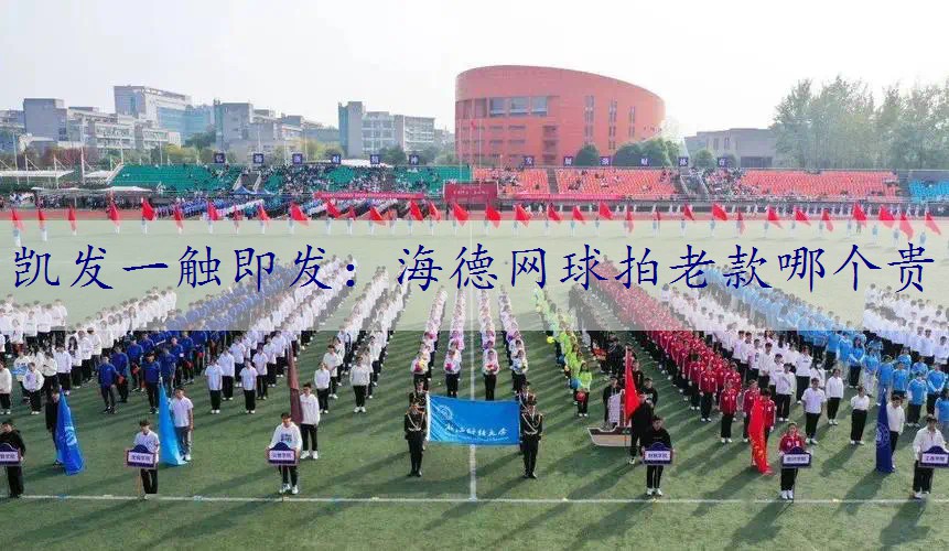海德网球拍老款哪个贵