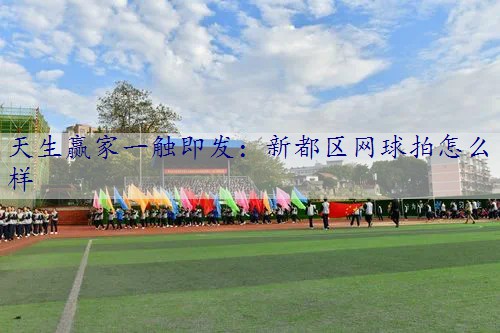 新都区网球拍怎么样