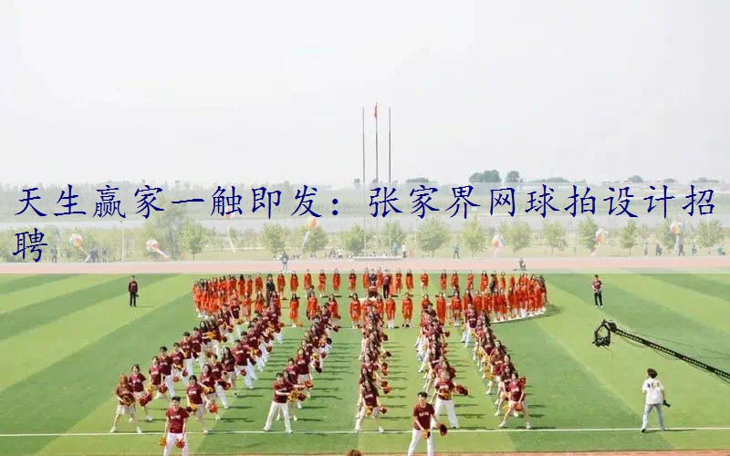 张家界网球拍设计招聘