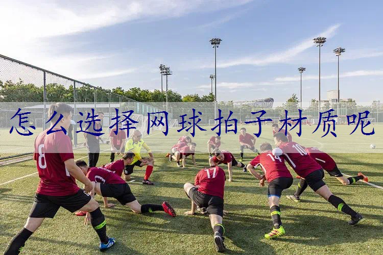 怎么选择网球拍子材质呢