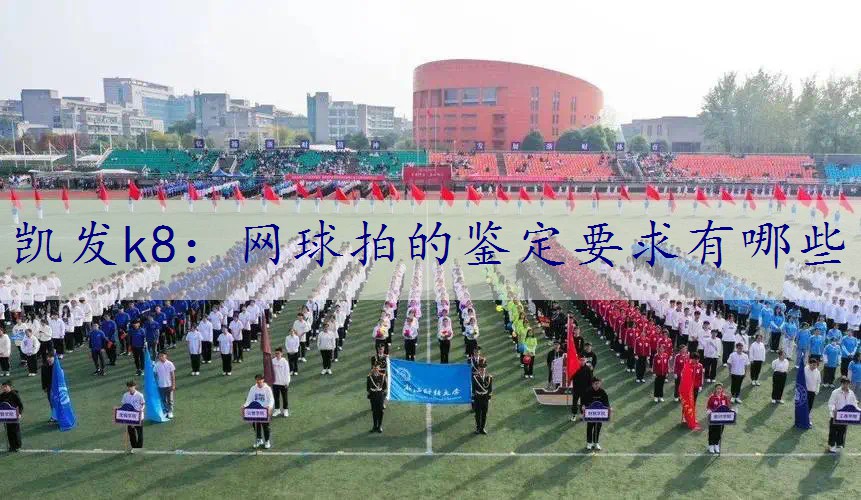 网球拍的鉴定要求有哪些