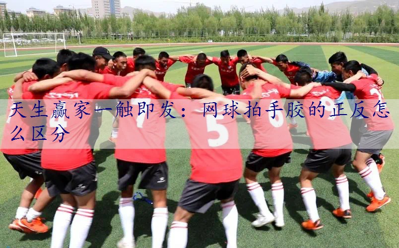 网球拍手胶的正反怎么区分