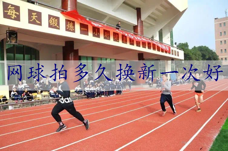 网球拍多久换新一次好