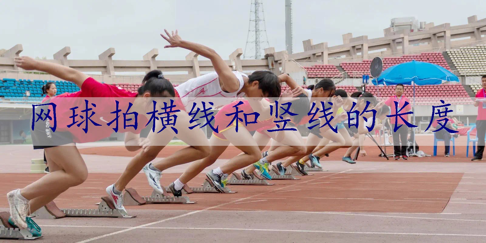 网球拍横线和竖线的长度