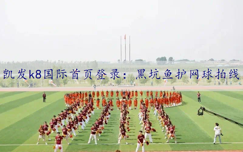 黑坑鱼护网球拍线