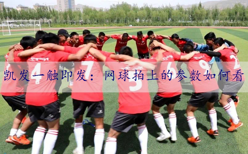 网球拍上的参数如何看