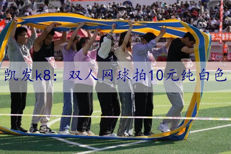 双人网球拍10元纯白色