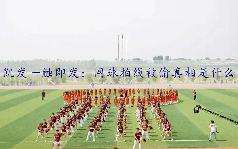 网球拍线被偷真相是什么