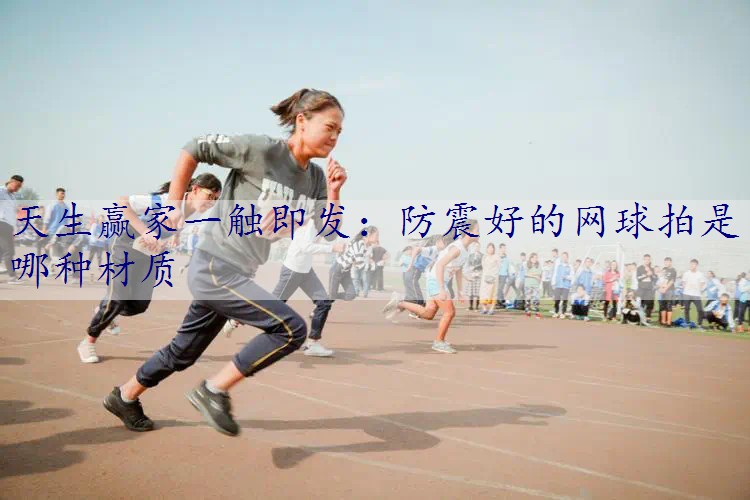 防震好的网球拍是哪种材质