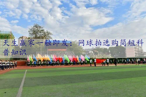 网球拍选购简短科普知识