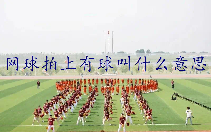 网球拍上有球叫什么意思