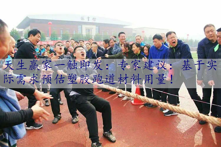 专家建议：基于实际需求预估塑胶跑道材料用量！