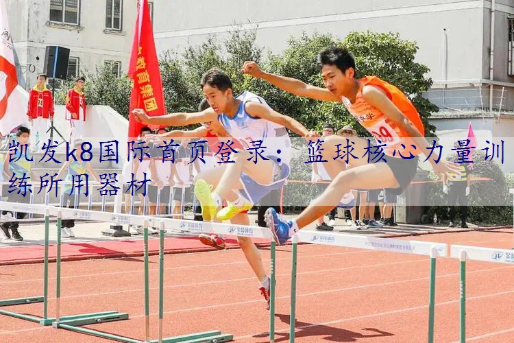 篮球核心力量训练所用器材